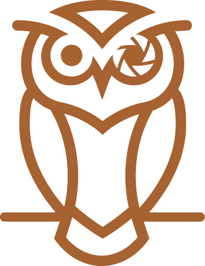 Owl logo graphic
